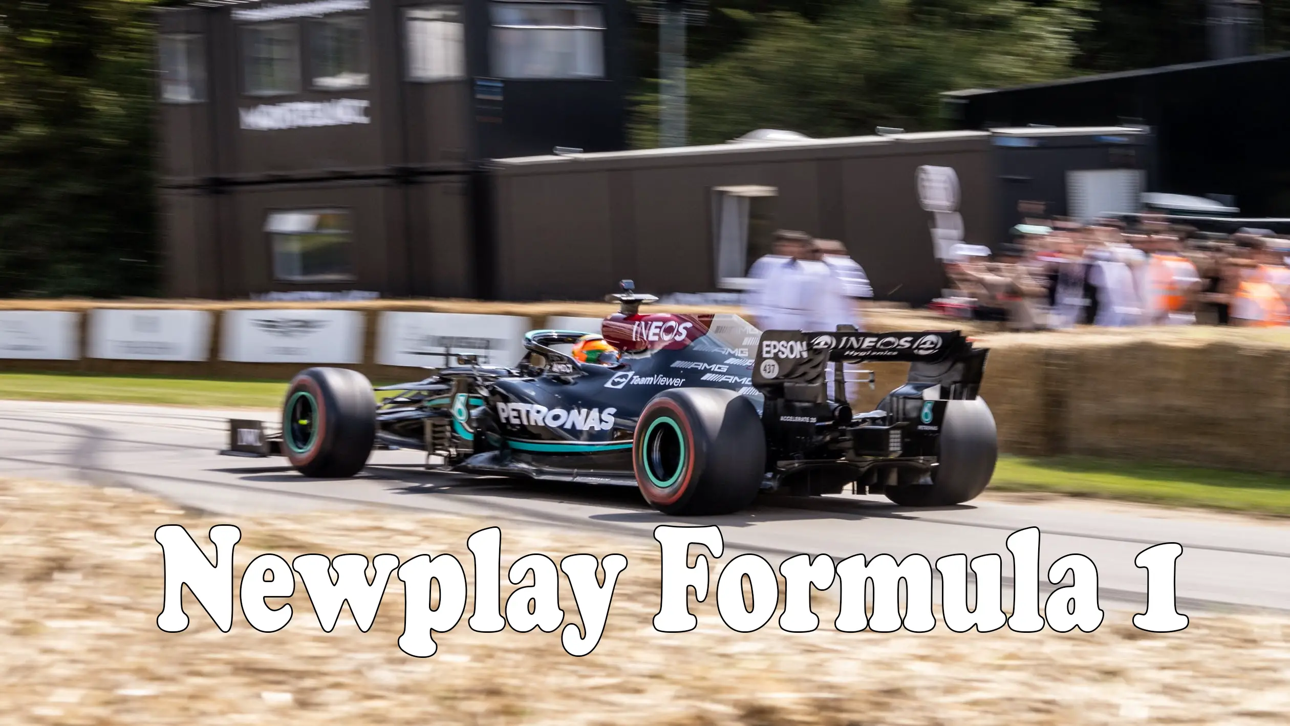 Newplay Formula 1